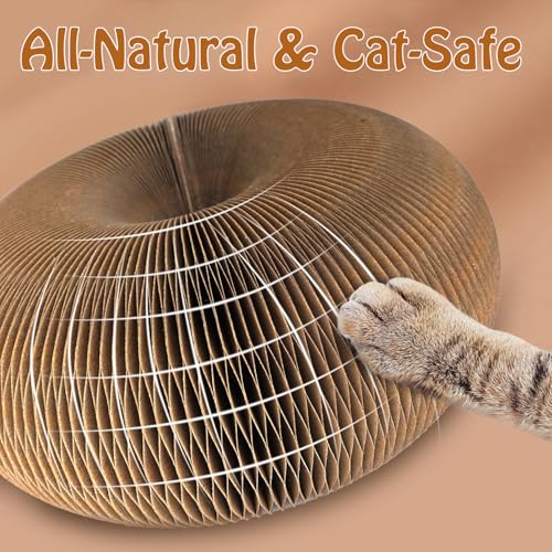 Interactive Cat Toy & Cardboard Cat Scratcher, Round Single-Layer Track