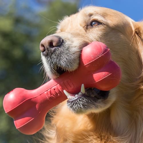 KONG Goodie Bone, Natural Rubber Treat-Dispensing Toy, Red, for Small Dogs - size: Small (Pack of 1)