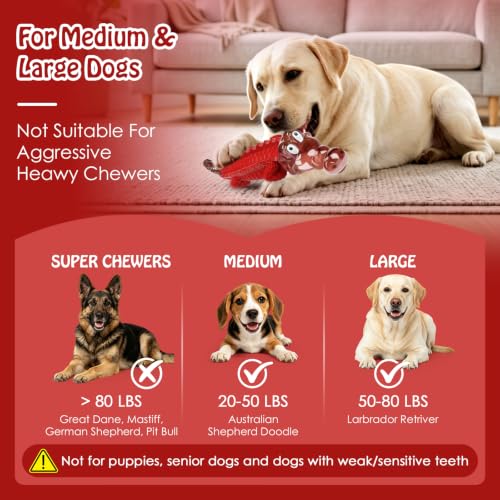 Jeefome Dog Toys for Aggressive Chewers - color: Red