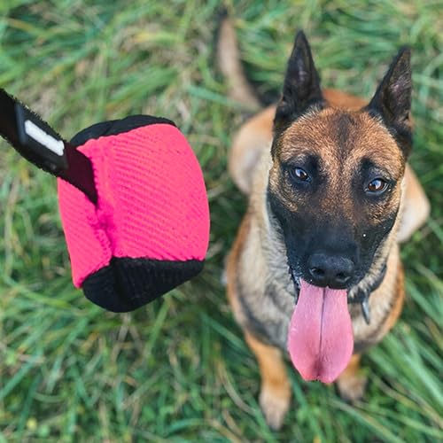 Dingo Gear Dog Ball with Long Handle, French Linen, Pink 29 in - color: Pink-Black