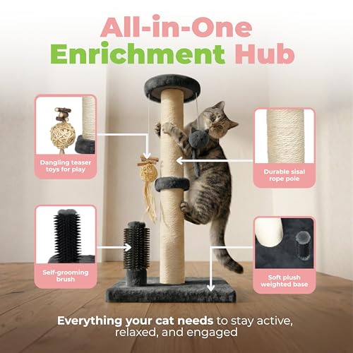 Best Pet Supplies Catify Cat Scratching Post - Gray H: 33" - color: Gray Scratching Post - H: 33"