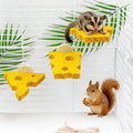 3 Pack Cheese-Themed Wooden Climbing Platforms with Mounting Kit - Multi-Level Cage Accessories for Sugar Gliders, Rats, Squirrels & Small Climbers