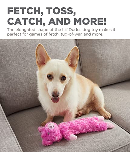 Outward Hound by Charming Pet Lil' Dudes Pig Plush Squeaky Dog Toy - color: Lil' Dudes Pig, size: 1 Count