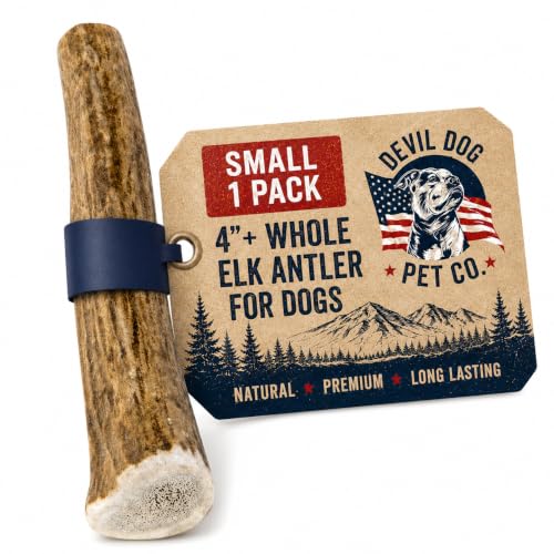 Devil Dog Pet Co Whole Elk Antlers for Dogs, Small, Aggressive Chewers - style: WHOLE - Small - 1 Pack