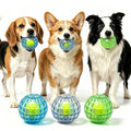 Squeaky Dog Balls 3-Pack, Ball-in-Ball Design with Inner Tennis Ball, Squeeze-to-Squeak TPR Chew Toys, High-Bounce Floating Fetch Balls for Pool Beach Training, Easy-Clean Puppy Teething Toy