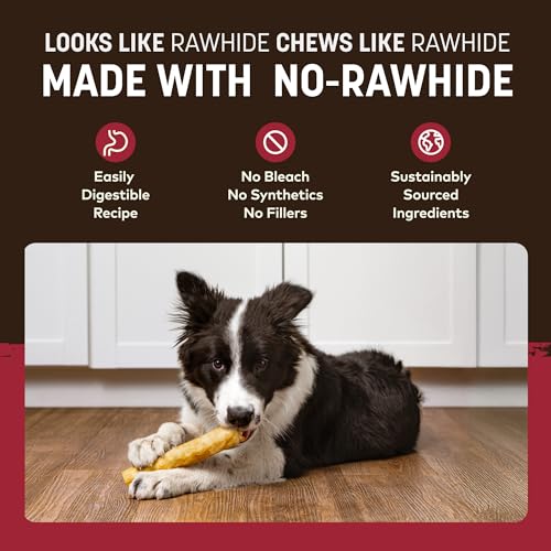 Earth Animal No Hide Dog Chews - Rawhide Free Medium Rolls 3 Count Beef - size: 3 Count (Pack of 1)