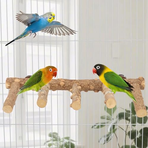 Hypeety Bird Ladder Perch for Cage Natural Wood Climbing and Chewing Toy