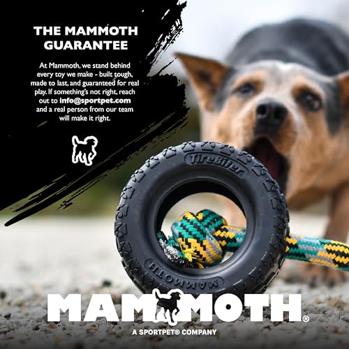 Chew King by Mammoth Premium Treat Dispensing Dog Toy, Durable Natural Rubber Chew Toy, Safety Air Vent, Interactive Enrichment Toy for Aggressive Chewers, Medium Pack of 2- Teal - color: 2-Pack Treater (Teal), size: Medium