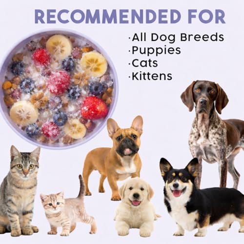 Wobbowl - Silicone Dog Freezer Bowl - Slow Feeder Bowl & Lick Mat (Almond) - color: Almond