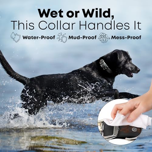 Regal Dog Products Waterproof Dog Collar, Nickel Double Buckle, Large Black - color: Black, size: Large