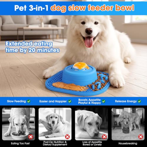VIOWEY 3-in-1 Dog Slow Feeder Bowl, 10-Inch Removable Large Non-Slip Feeder - color: Blue
