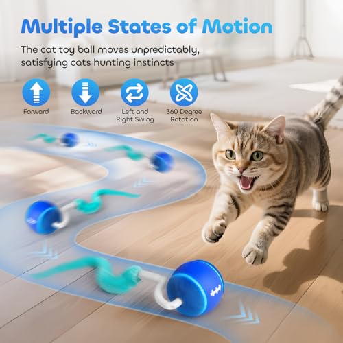 Interactive Cat Toy Ball for Indoor Cats with 3-Mode Touch Activated