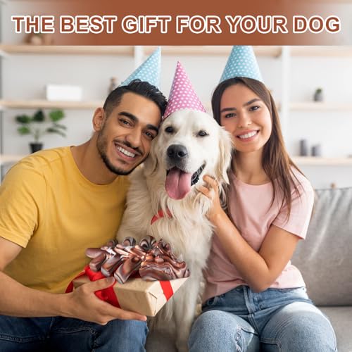 Durable Nylon Dog Toy for Aggressive Chewers - Interactive Nylon Chew Set with Massage Bumps | Tough Dog Toys for Teething Puppies & Large Breeds (Triceratops) - color: Triceratops