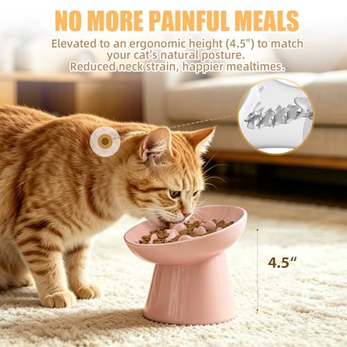 Ceramic Elevated Slow Feeder Cat Bowl - 6" Raised Cat Food Bowl for Bloat Relief & Anti-Vomiting, Whisker Friendly Ceramic Cat Slow Feeder for Indoor Cats, Kittens, Puppies - Pink(1pc) - color: Pink