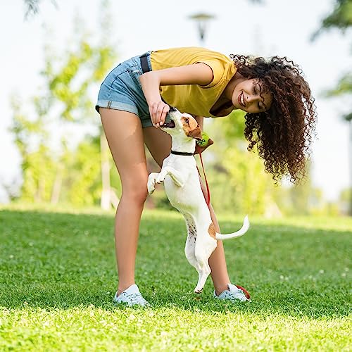 INSUM Small Tennis Balls for Dogs - 2 Inch 20 Pack Squeaky Dog Balls - color: Yellow, size: Small - 20PK