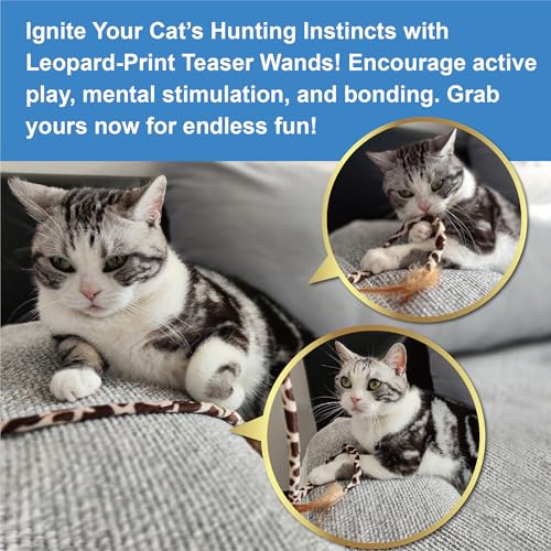 PetLike 25pcs Interactive Cat Toys Set Collapsible Cat Tunnel Interactive Feather Teaser Wand,Spring Toys & Balls for Indoor Cats (Green, 25x55cm) - color: Green