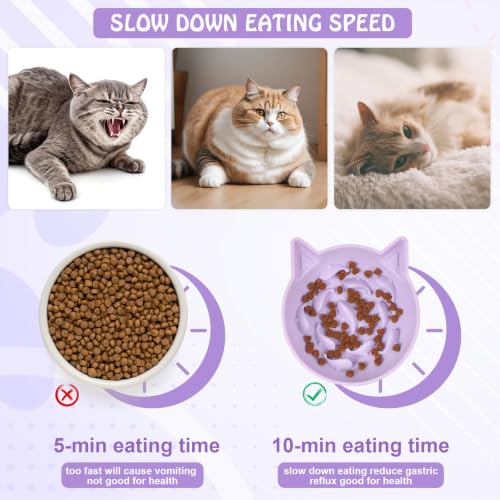 2 Pack Silicone Cat Slow Feeder,Tilted Design with Non Slip Base