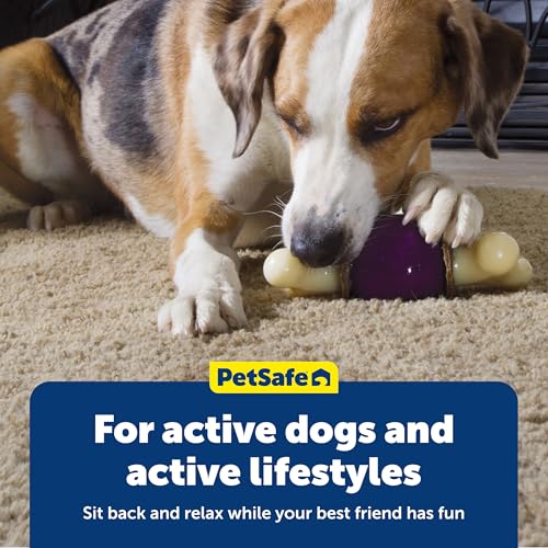 PetSafe Busy Buddy Bouncy Bone Treat Holding Dog Chew Toy, Large - size: Large, style: Bouncy Bone