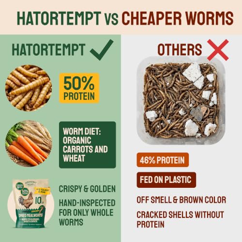 Hatortempt 5lb Dried Mealworms for Chickens & Wild Birds, Chicken Feed - size: 5 Pound (Pack of 1)