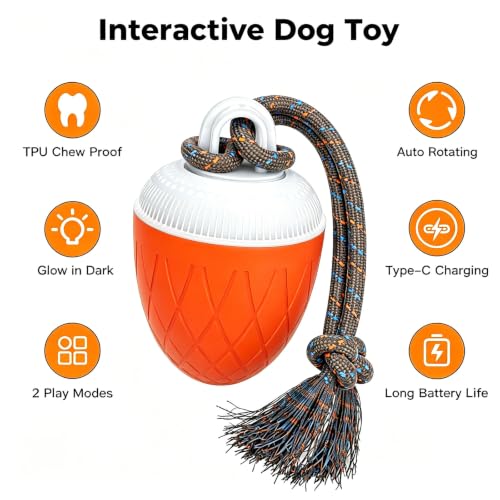 Interactive Dog Ball Toy for Medium & Large Dogs, Automatic Moving Dog Toy with Bird Sounds and Rope, USB Rechargeable Smart Ball with Fast & Slow Modes, 500mAh Dog Enrichment Toy - color: Orange