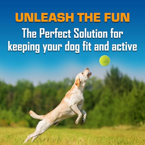 Nerf Dog Classic Squeak Ball Outdoor Dog Toy, 3.8 Inch Dog Ball Fetch Toy, Squeaking Toy for Medium and Large Breeds, Green/Red, 2 Count - color: Green/Red, size: 1 Count (Pack of 2), style: 2-Pack