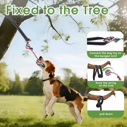 HOPET Dog Outdoor Bungee Hanging Toy, Tether Tug of War Toys for Medium to Large Dog to Exercise, Durable Interactive Tug Toy, Dog Rope Toys