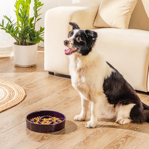 vancasso Slow Feeder Dog Bowl, 3 Cups Ceramic Puzzle Dish for Large Breed - color: Dark Purple, size: L - 3 Cups