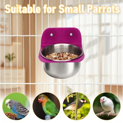 Hypeety Bird Feeder Bowl for Cage Stainless Steel Feeder Cup for Parrots, L