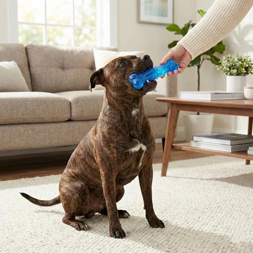 SPOT Play Strong Scent-sations Bone - Scent-Infused, Strong, Durable TPR Rubber, Heavy Duty Dog Toys for Aggressive Chewers up to 45lbs, Perfect for Puppies & Medium Breeds, 6in, Bacon Flavored - color: Blue, size: 6 in