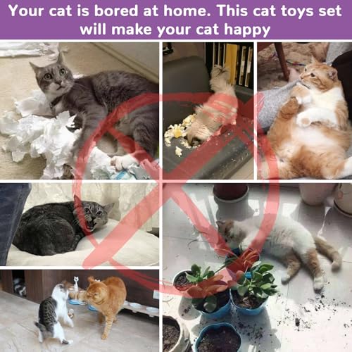 Retro Shaw 33Pcs Cat Toys for Indoor Cats, 2 Way Cat Game Tunnels - color: Large 2-Way Game Tunnel Toy Set