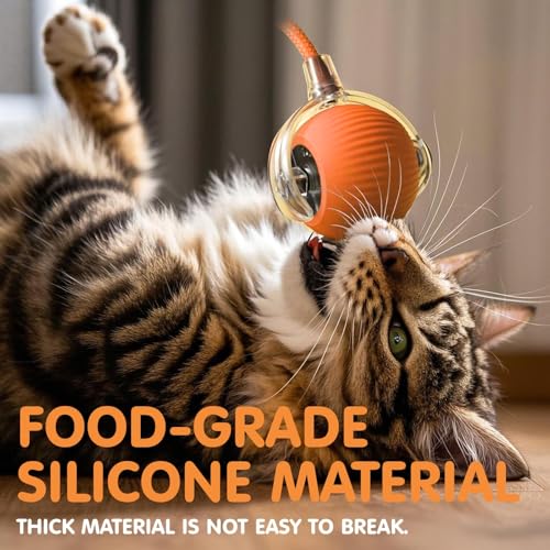 Rocfish Durable Interactive Cat Toys for Indoor Cats (Orange, 01) - color: Orange01, size: 01