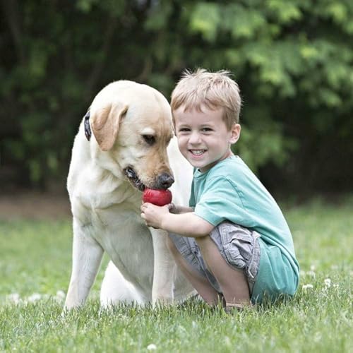 KONG Classic Stuffable Toy, Natural Rubber, Extra Large Dogs (Pack of 2) - size: X-Large(2-Pack)