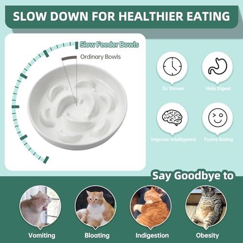 2 Pack Ceramic Cat Slow Feeder Bowl Set, 6.3" Wide, Slow Eating 5X - color: White and Green