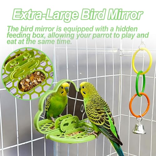 Bird Mirror with Perch Stand & Slow Feeder,Parrot Toys Swing(Green) - color: Green Cloud