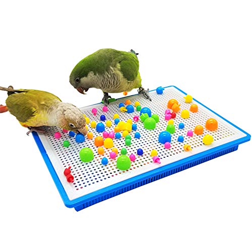 QBLEEV Parrot Puzzle Toys - Bird Intelligence Training, Parakeet & Conure Cage Accessories, Cockatiel Foraging & Chewing Toys - color: Mushroom Toy