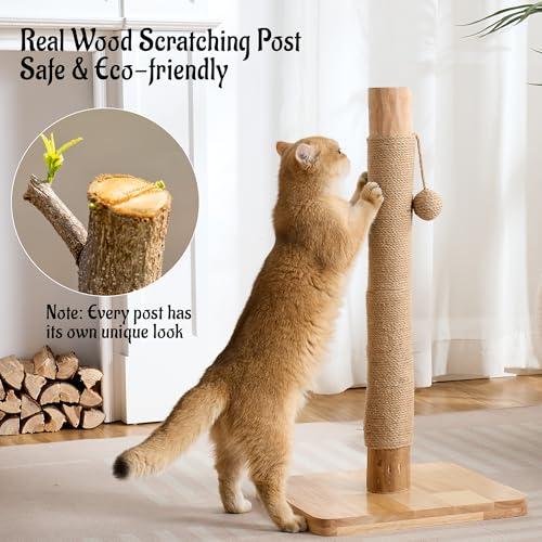29" Tall Solid Wood Cat Scratching Post for Indoor Cats, Extra Stable Heavy Base, Natural Sisal Scratcher with Hanging Ball, Furniture Protector for Kittens & Adult Cats, Beige - color: Natural