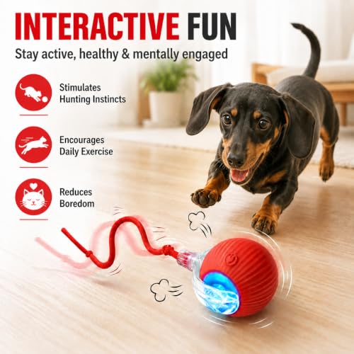 2-Pack Smart Interactive Automatic Electric Rolling Moving Rechargeable Motion Activated Self Play Stimulation Chase Teaser Ball Toy with Rope for Indoor Bored Adult Cat and Dog, Red+Red - color: Red+Red
