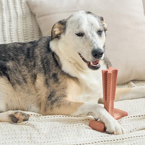 SPOT Bam-Bones Plus T-Bone Dog Chew, Beef, 7in, 60-90 lb Heavy Chewers - size: Large