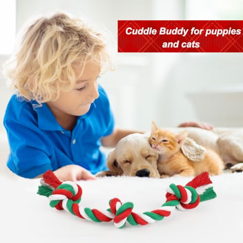 SZEE Dog Rope Toys 2 Pcs - Christmas - color: Christmas, size: Small