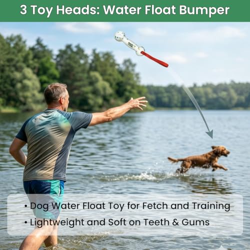 Dog Door Bungee Tug Toy, 4 Pieces, Small Medium Dogs 20 to 50lbs
