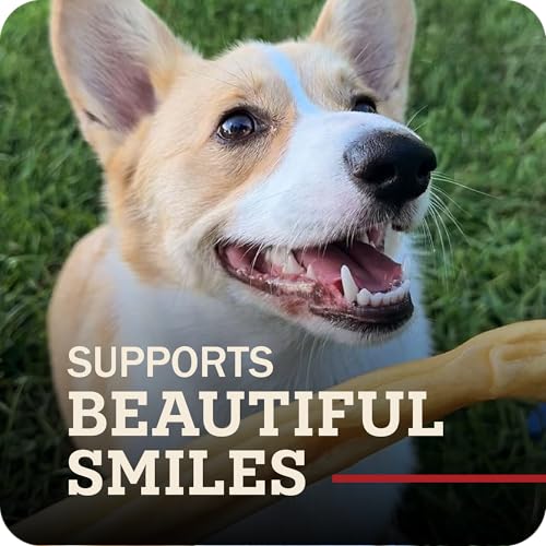 Redbarn Natural Large 12" Beef Collagen Braids - 2 Pack - Long Lasting Low-Odor Alternative to Rawhide & Bully Sticks -Single Ingredient Chew for Medium Large Dogs - size: Large 12" (2 Count)