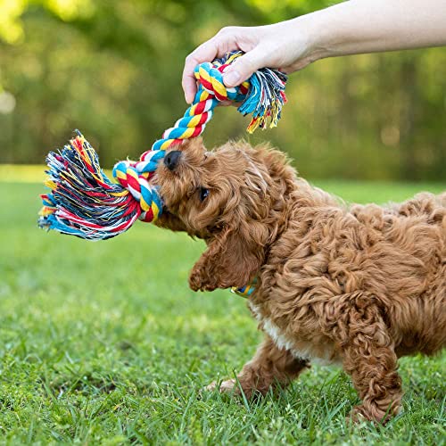 Jeffers Pet Rope Bone Dog Toy, Multi-Colored, 10" – Durable Braided Rope for Tug of War, Chewing & Fetch – Interactive Play for Pets – Machine Washable Dog Game Toy, Supports Healthy - color: Multicolor, size: 10 Inches