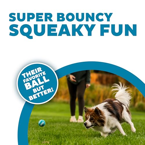 Outward Hound Squeaker Ballz Tennis Ball Dog Toy, Small, 2", 8‑Pack - color: Multi Squeaker Balls, size: Small, style: 8-Pack