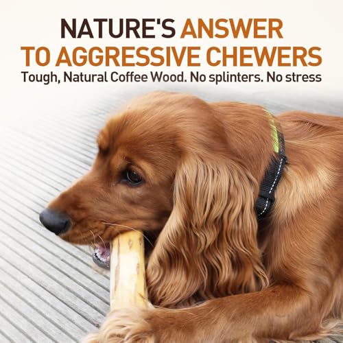 Wildfang® Coffee Wood Dog Chew, Large - Tough Chew Toys for Aggressive Chewers, Dog Teething Toys for Puppies, Training for Chewing Muscles, Coffee Tree Sticks for Large Dogs (55-99 lbs) - size: 7 Ounce (Pack of 1)