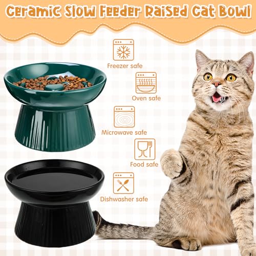 Tioncy 2 Pcs Ceramic Elevated Slow Feeder Cat Bowl, Dark Green, Black - color: Dark Green, Black