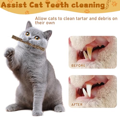 WoLover 25 PCS Silvervine Sticks for Cat, Natural Matatabi Chew Toys - size: 25 Count
