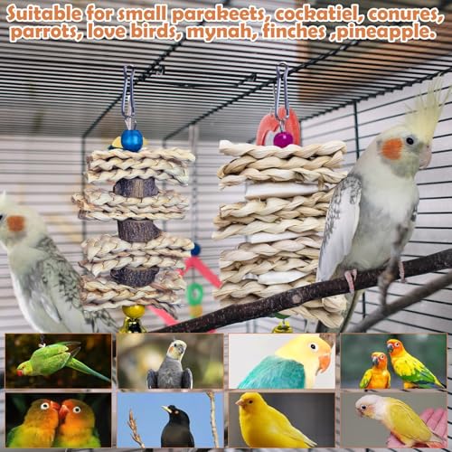 PINVNBY 3 Pack Parrot Toys Chewing Bird Toy Cuttlebone Beak Grinding Stone Cage Hanging Toys with Bell for African Greys Amazon Conure Eclectus Budgies Parakeet Cockatiel Hamster Chinchilla