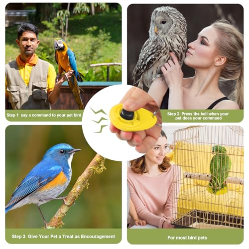3 Pcs Bird Training Stand Kit, Parrot Training Clicker Portable Tabletop Bird Perch and Target Stick, Wooden Spin Perch Clickers with Wrist Strap for Parakeet Conure Lovebird Cockatiel (Spin) - style: Spin