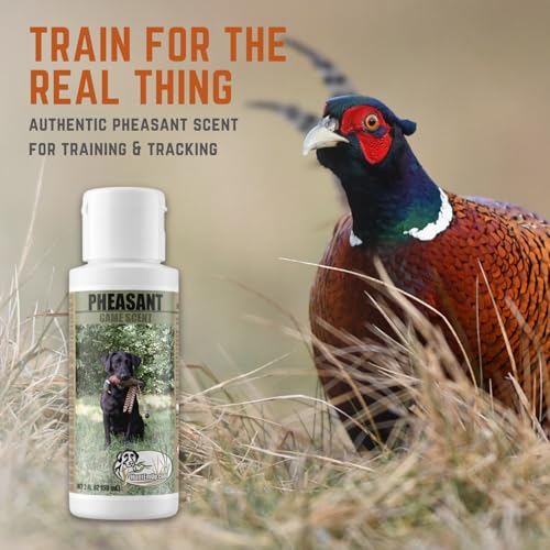 Game Training Scents for Hunting Dogs - Field-Train Your Dog to Track and Retreive for Upland Hunts - size: Scent Kit, style: Pheasant