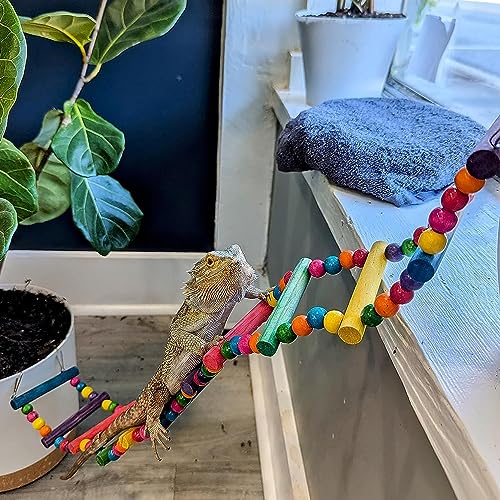 DS. DISTINCTIVE STYLE Bird Ladder Toys Coloured Flexible Parrot Swing Bridge Wooden Cockatiel Cage Hanging Climbing Ladder - size: 27.6 in (12 Steps)